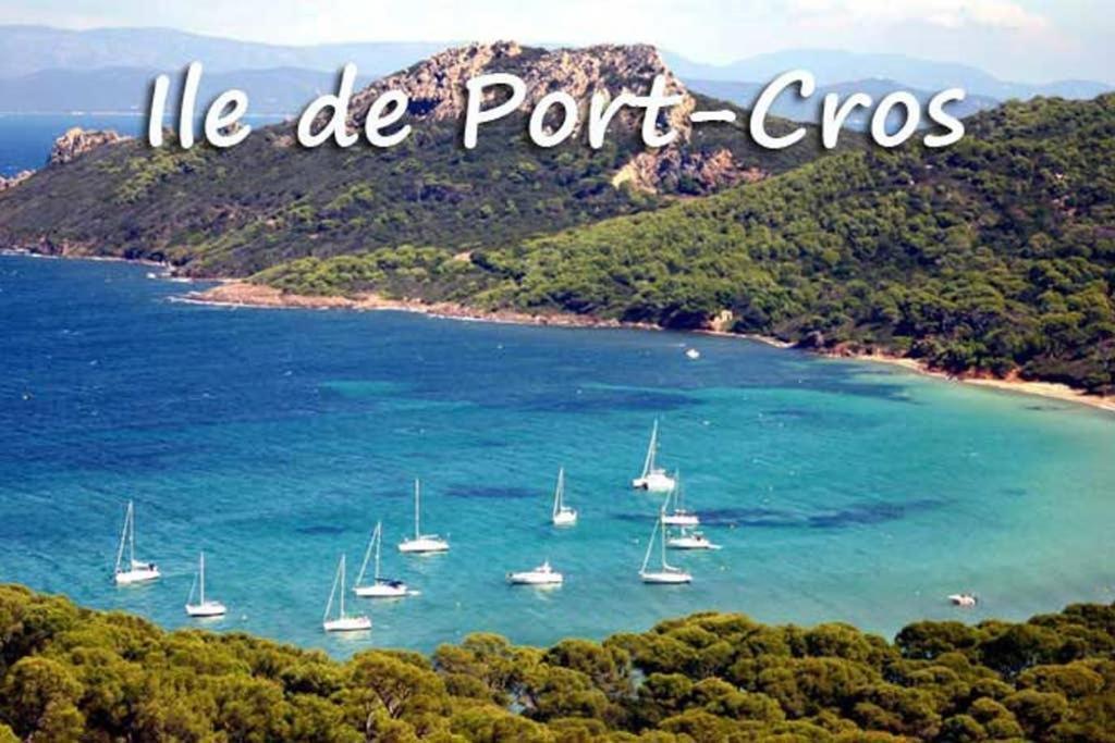 Studio Port De Hyeres Proche Des Plages エクステリア 写真